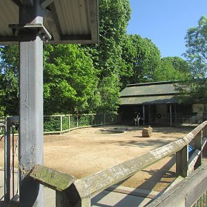 Dublin Zoo - Cow and duck pen