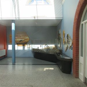 Dublin Zoo - Part of Zoorassic World