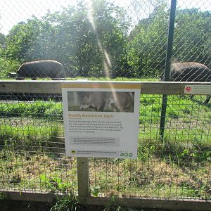 Dublin Zoo - Informative sign