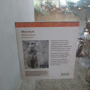 Dublin Zoo - Informative sign