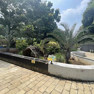 mixed tortoise & turtle exhibit - museum komodo