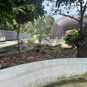 mixed tortoise & turtle exhibit - museum komodo