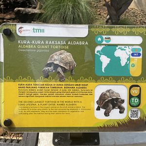 aldabra giant tortoise signage - museum komodo