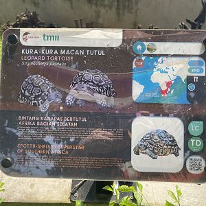 leopard tortoise signage