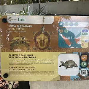 spiny turtle signage - museum komodo
