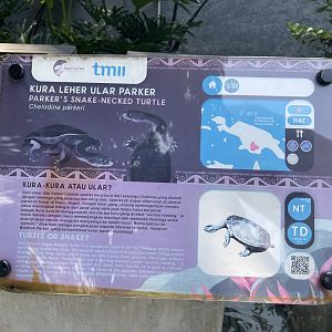 parker’s snake necked turtle signage - museum komodo