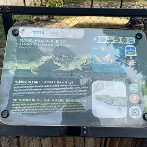 albino crocodile signage - museum komodo
