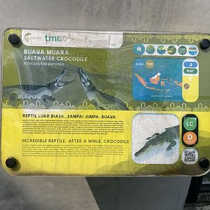 saltwater crocodile signage (1) - museum komodo