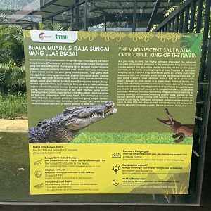 saltwater crocodile signage (2) - museum komodo