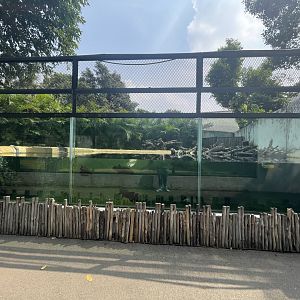 false gharial exhibit - museum komodo