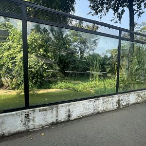 siamese crocodile exhibit - museum komodo