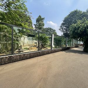 komodo dragon complex - museum komodo