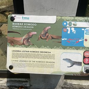 komodo dragon signage (1) - museum komodo