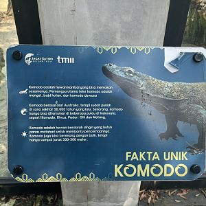 komodo dragon signage (3) - museum komodo