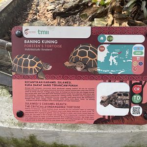 forsten’s tortoise signage - museum komodo
