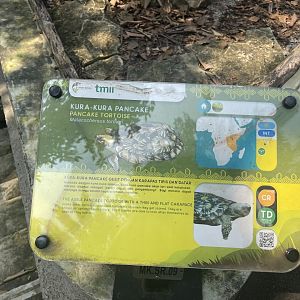pancake tortoise signage - museum komodo