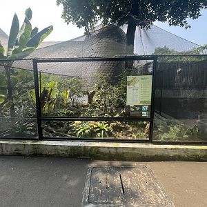 emerald tree boa exhibit - museum komodo