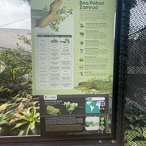 emerald tree boa signage - museum komodo