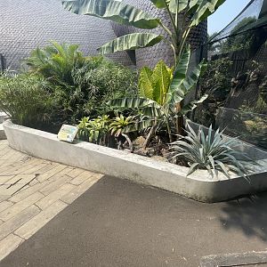 malaysian giant turtle exhibit - museum komodo