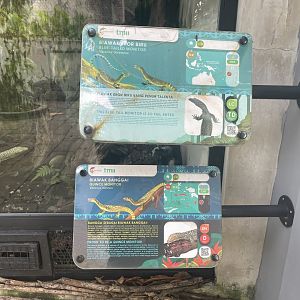 quince & blue-tailed monitor signage - museum komodo