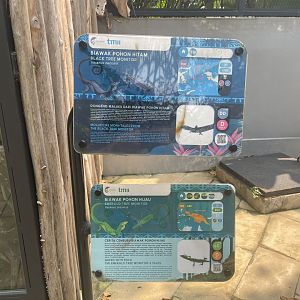 black & emerald tree monitor signage - museum komodo