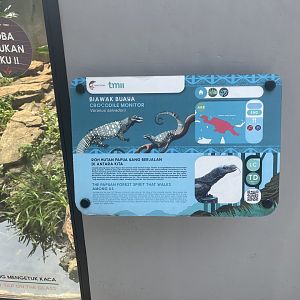 crocodile monitor signage - museum komodo