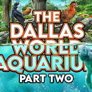 The Dallas World Aquarium | PART TWO