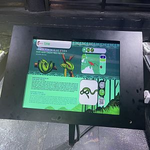 green tree phyton signage - museum komodo