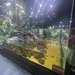 papuan-themed exhibit (1) - museum komodo