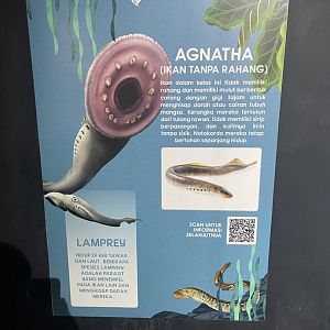 entrance signage (1) - dunia air tawar