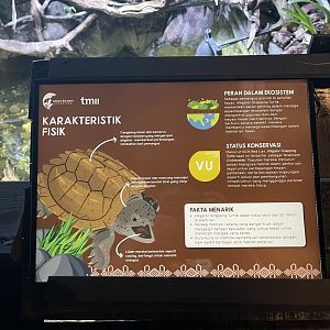 aligator snapping turtle signage (3) - dunia air tawar