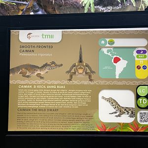 smooth-fronted caiman signage (1) - dunia air tawar