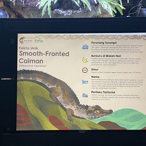 smooth-fronted caiman signage (2)
