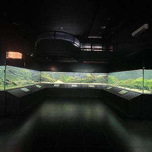 aquascape tank - dunia air tawar
