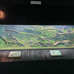 aquascape tank (view 1) - dunia air tawar