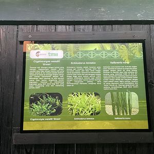 aquascape tank signage (2) - dunia air tawar