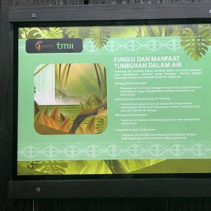 aquascape tank signage (3) - dunia air tawar