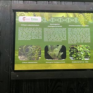 aquascape tank signage (5) - dunia air tawar