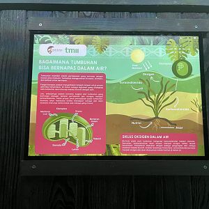 aquascape tank signage (6) - dunia air tawar