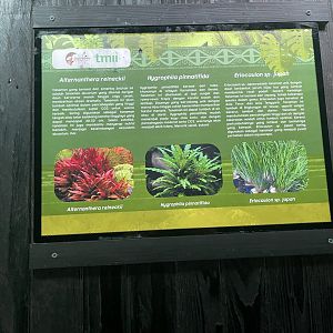 aquascape tank signage (7) - dunia air tawar