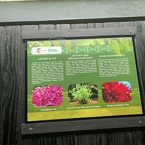 aquascape tank signage (8) - dunia air tawar