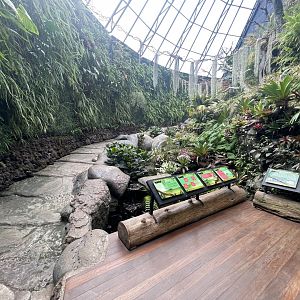 the riverside - dunia air tawar