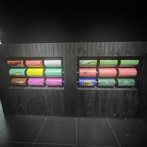 fish facts - dunia air tawar tmii