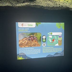 vampire crab signage - dunia air tawar
