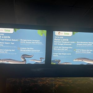 electric eel signage (2) - dunia air tawar