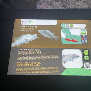 barramundi signage - dunia air tawar