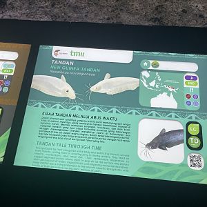 new guinea tandan signage - dunia air tawar