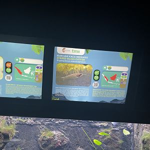 striped glass catfish signage - dunia air tawar