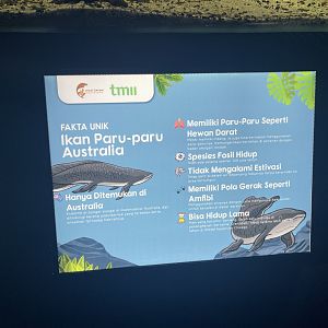 australian lungfish signage (2) - dunia air tawar