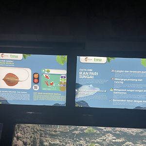 marbled whipray signage - dunia air tawar